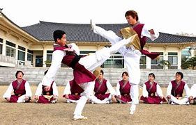 Image result for Korean Martial Arts