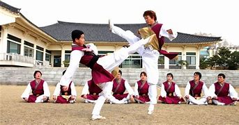 Image result for korea martial art