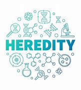 Image result for Heredity Drawing