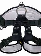 Image result for Rappelling Harness