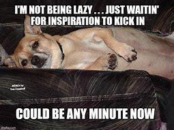 Image result for Lazy Dog Meme