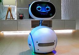 Image result for Future Home Robot