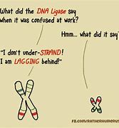 Image result for Corny DNA Biology Jokes