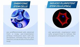 Image result for Cell and Gene