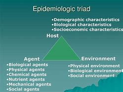 Image result for Epidemiological Triangle