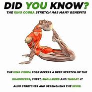 Image result for Did You Know Yoga Poses