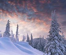 Image result for Wallpaper for PC 1920X1080 Winter