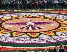 Image result for Brussels Flower Carpet
