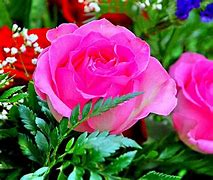 Image result for 3D Flower Wallpapers Rose