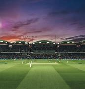 Image result for Cricket Grass Ground Background