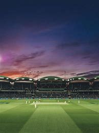 Image result for Cricket Background for Zoom