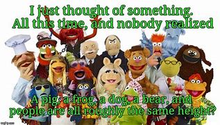 Image result for Funny Animal Muppet Meme