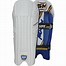 Image result for Cricket Pads Horizontal