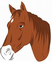 Image result for Horse Face Vector