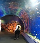 Image result for Osaka Aquarium