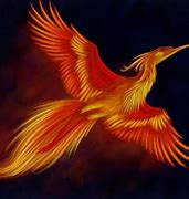 Image result for Phoenix Flying