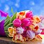 Image result for Google Pixel 6 Pro Wallpaper Coulorful Flowers