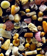 Image result for Small Sand Grains
