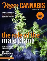 Image result for Cannabis Magazine