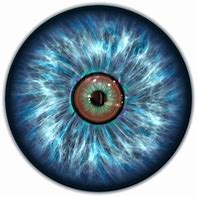 Image result for Electric Blue Contact Lenses
