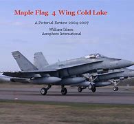 Image result for 4 Wing Cold Lake