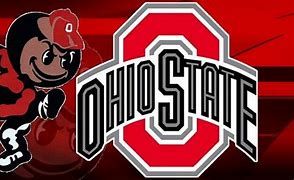 Image result for Ohio State Buckeyes Colors