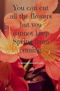 Image result for Happy Spring Quotes Sayings