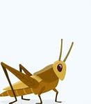 Image result for Happy Cricket Insect