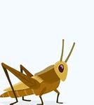 Image result for Least Squares Fit Tree Cricket Chirp