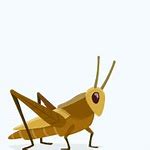 Image result for Cricket Animal Clip Art