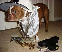Image result for Gangster with Muzzled Dog
