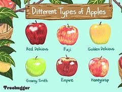 Image result for Types of Apple's Names