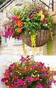 Image result for Flower Basket Designs
