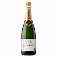 Image result for Codorniu Cava Brut