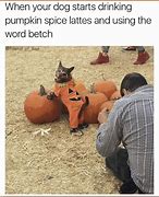 Image result for Small Crickets Pumpkin Spice Memes