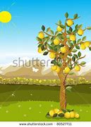 Image result for Lemon Tree Cartoon