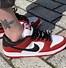 Image result for Dunk Low On Feet