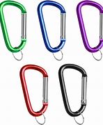 Image result for Fashion Carabiner Clips