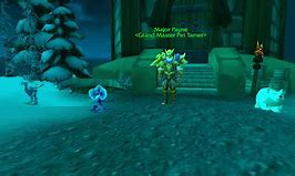 Image result for wow mega bite pet battle