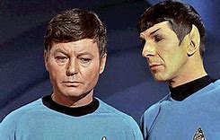 Image result for Star Trek T'Pol Meme