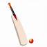 Image result for Cricket Bat Symbol