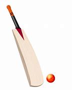 Image result for Sport Cricket Bat
