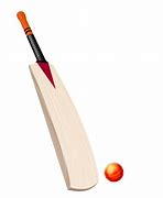Image result for CWC Bat