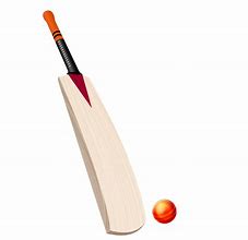 Image result for Cricket Bat Side View