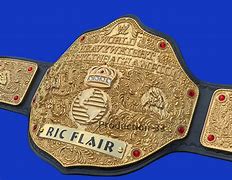 Image result for WWE Big Gold Belt