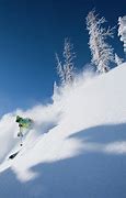 Image result for Ski Powder Alta