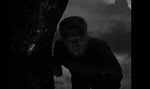 Image result for Twilight Breaking Dawn Werewolf Wallpaper