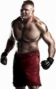 Image result for WWE 14
