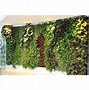 Image result for do it yourself live plants wall