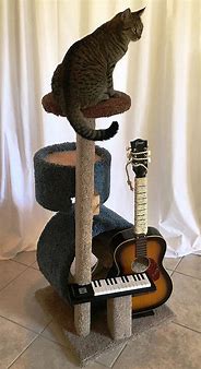 Image result for Unique Cat Towers